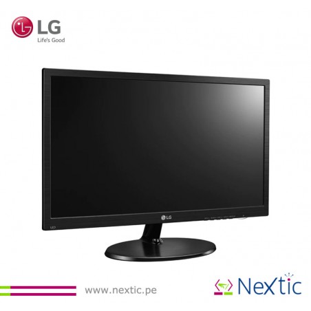 LG 19M38A