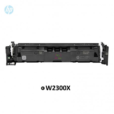 hp W2300X
